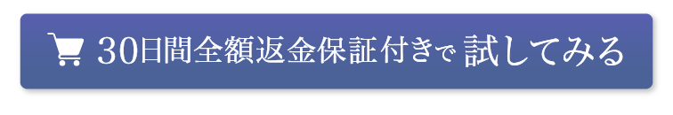 30日保証で試すボタン