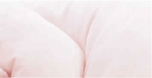 グースリーⅡ