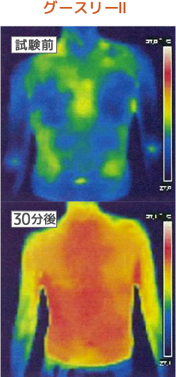 goosely_insulation
