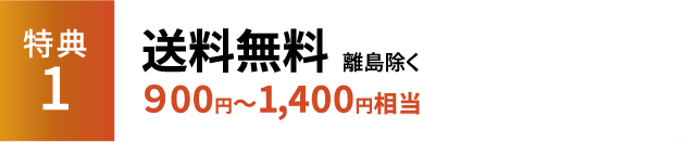 特典1 送料無料