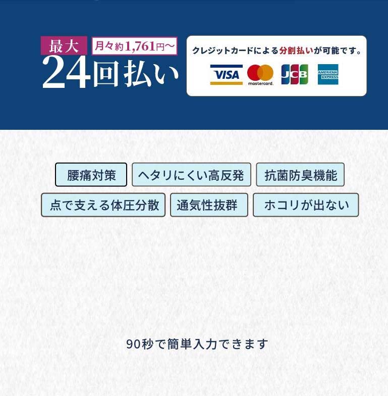 最大24回払い