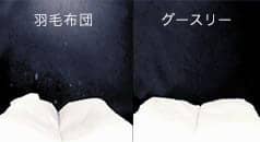 埃の量が羽毛の約７分の１