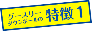 グースリーダウンボールの特徴その1