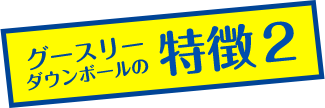 グースリーダウンボールの特徴その2