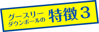 グースリーダウンボールの特徴その3