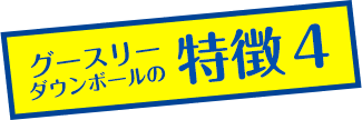 グースリーダウンボールの特徴その4