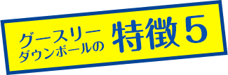 グースリーダウンボールの特徴その5