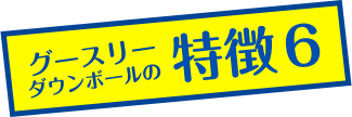 グースリーダウンボールの特徴その6