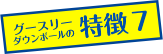 グースリーダウンボールの特徴その7