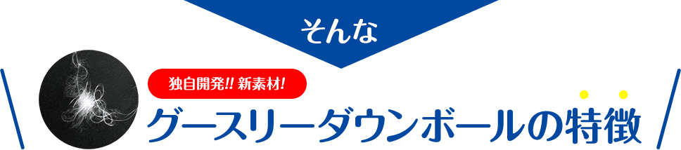 グースリーダウンボールの特徴