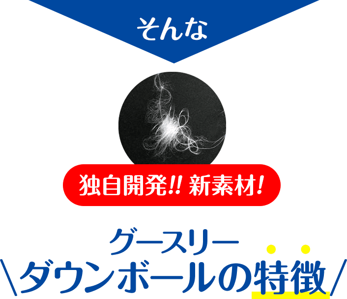 グースリーダウンボールの特徴