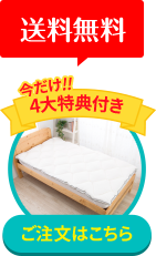 羽毛を超えた贅沢な寝心地! 新製品グースリー枕のご注文はこちらから!!