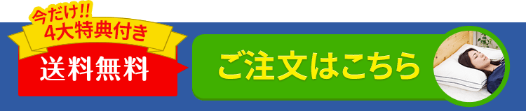 羽毛を超えた贅沢な寝心地! 新製品グースリー枕のご注文はこちらから!!