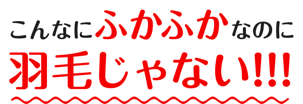 こんなにふかふかなのに羽毛じゃない！
