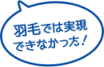 羽毛では実現できなかった！