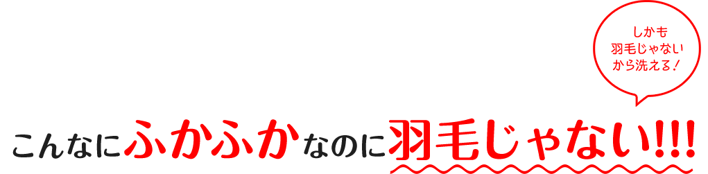 こんなにふかふかなのに羽毛じゃない！