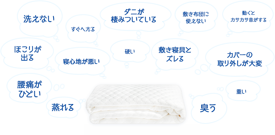 洗えない、すぐへたる、ホコリが出る、腰痛がひどい、敷き寝具とズレる、カバーの取り外しが大変、重い、寝心地が悪い、敷布団に使えない、動くとカサカサ音がする