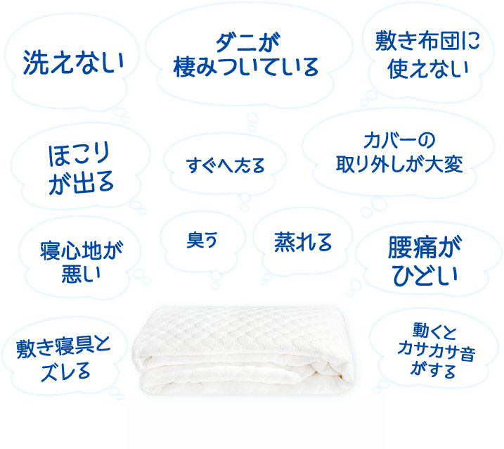洗えない、すぐへたる、ホコリが出る、腰痛がひどい、敷き寝具とズレる、カバーの取り外しが大変、重い、寝心地が悪い、敷布団に使えない、動くとカサカサ音がする