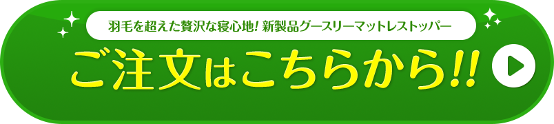 羽毛を超えた贅沢な寝心地! 新製品グースリー枕のご注文はこちらから!!