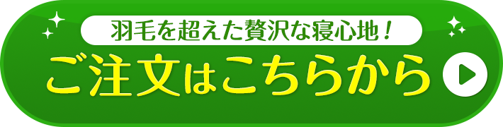 羽毛を超えた贅沢な寝心地! 新製品グースリー枕のご注文はこちらから!!