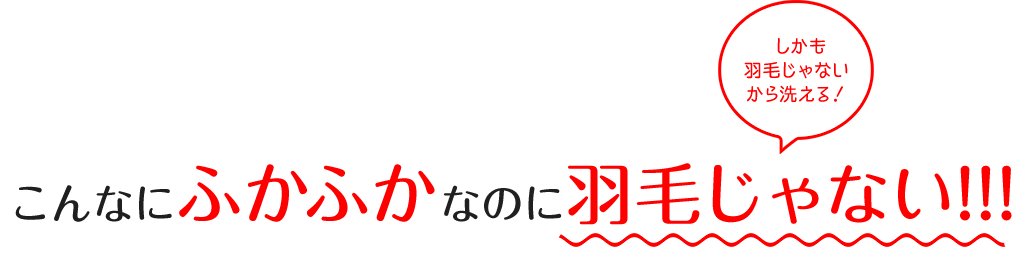 こんなにふかふかなのに羽毛じゃない!!!しかも羽毛じゃないから洗える