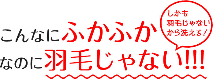 こんなにふかふかなのに羽毛じゃない!!!しかも羽毛じゃないから洗える